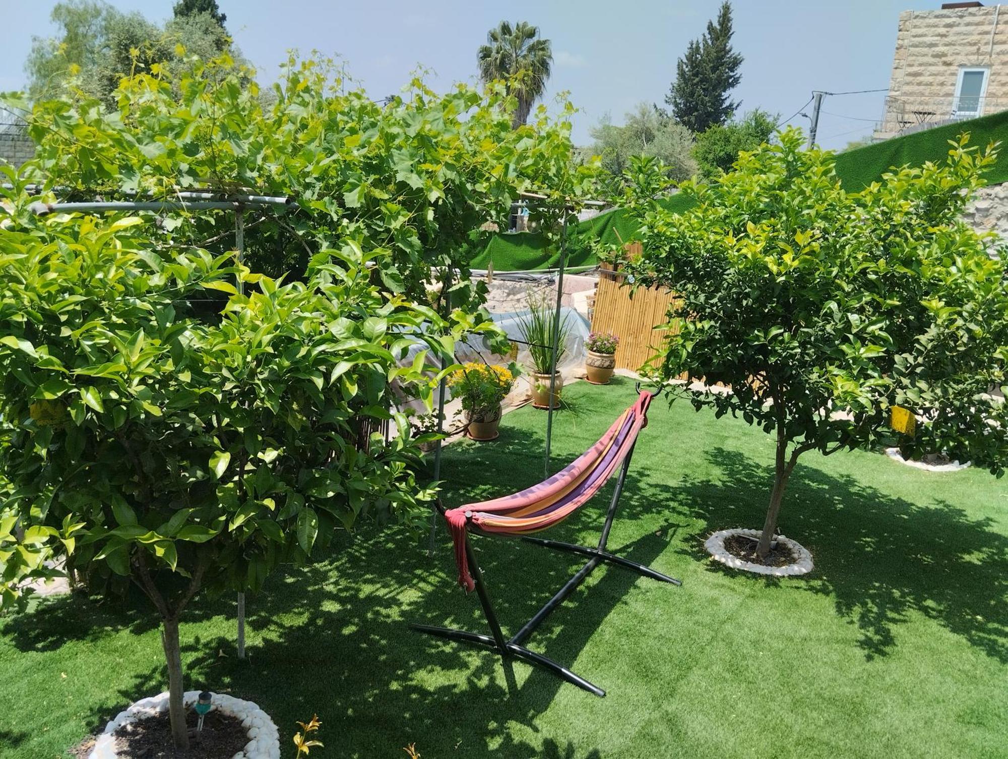 קסם עין כרם Leilighet Jerusalem Eksteriør bilde